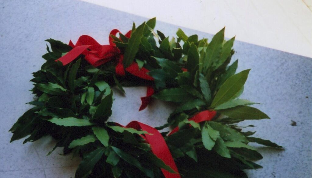 corona di alloro. premio per tesi di laurea