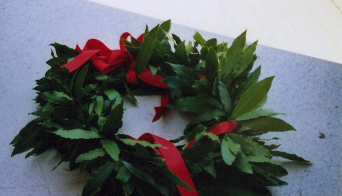 corona di alloro. premio per tesi di laurea