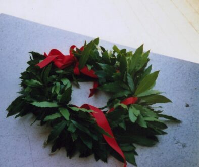 corona di alloro. premio per tesi di laurea