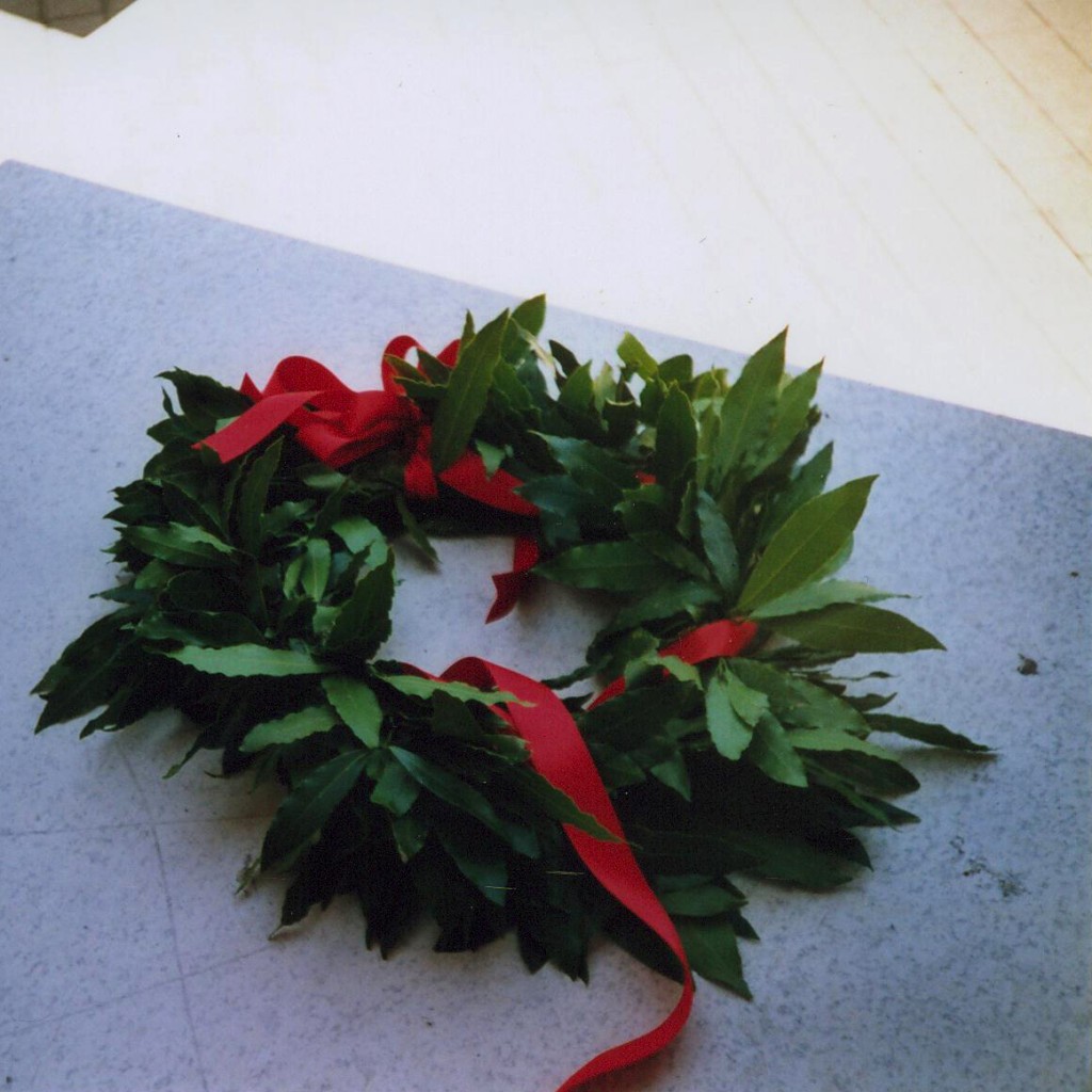 corona di alloro. premio per tesi di laurea