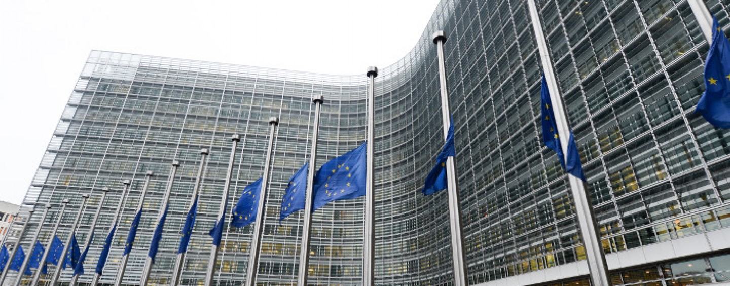 Tirocini presso la Commissione europea