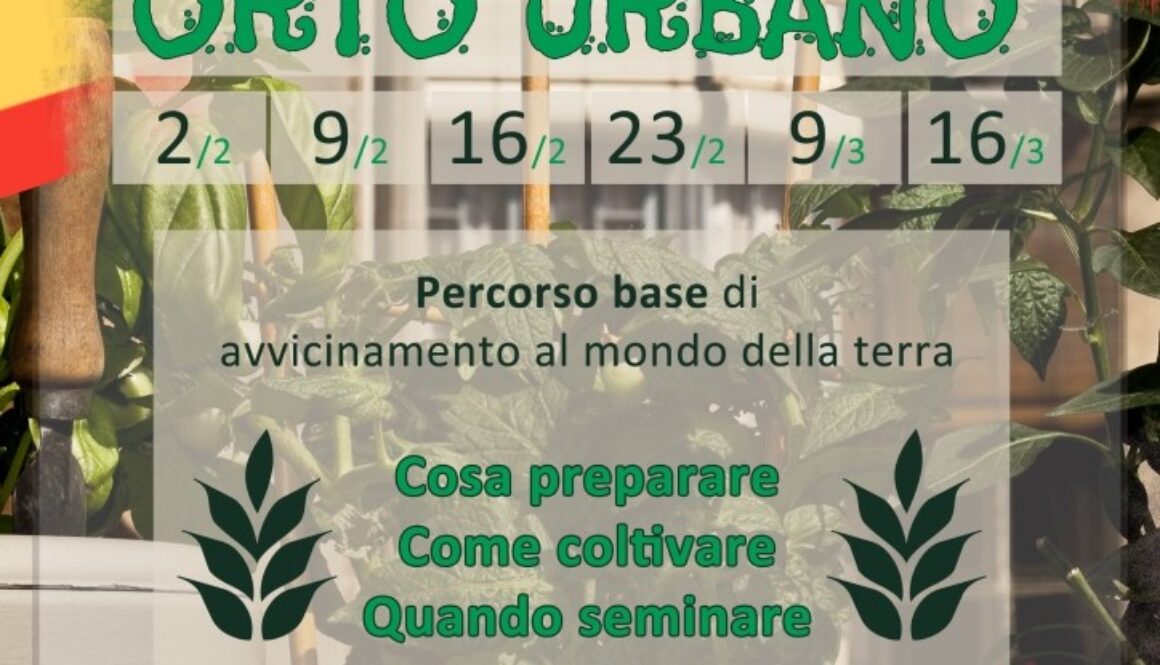 Orto urbano