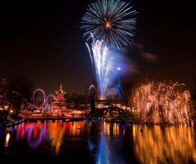 parco divertimenti 2