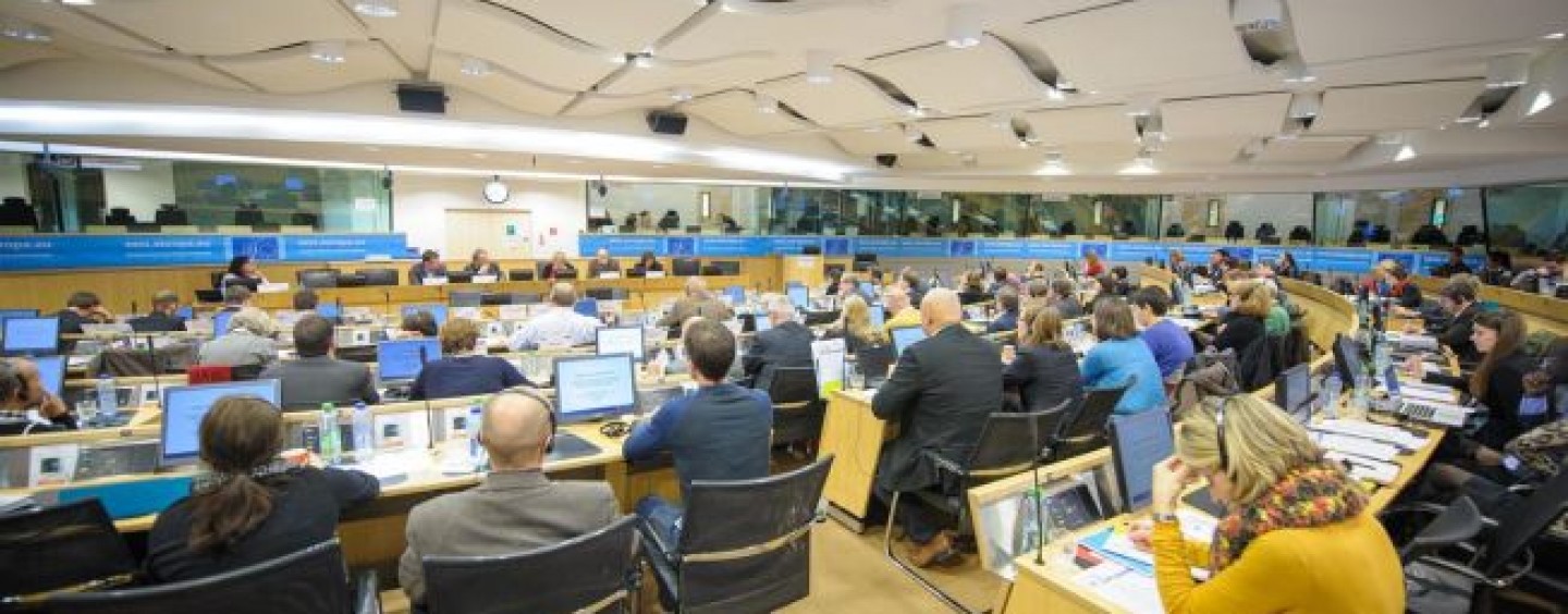 Tirocini presso il Comitato economico e sociale europeo