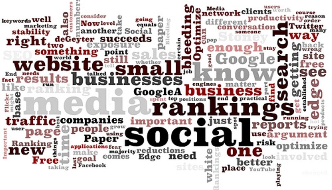 grafica con parole attinenti alla documentazione. Di cosa si occupa un documentalista?