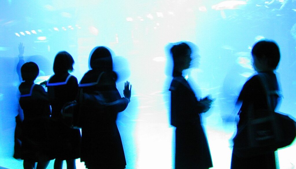 229169917_45515286d2_b