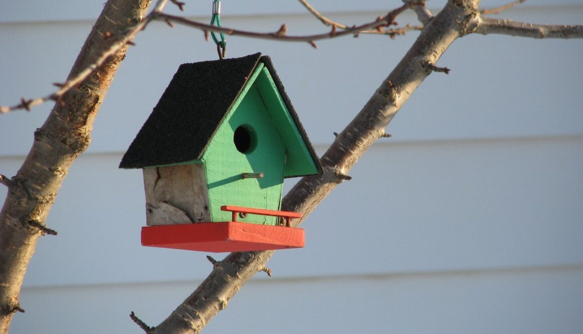 2340983327_15934f5d74_b