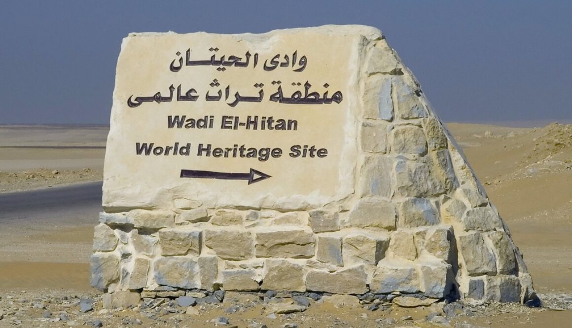 2368837996_bd0861db3d_b