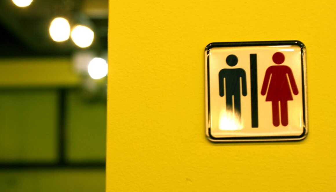 3139392279_185f654c95_b