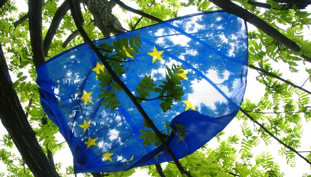 Bandiera UE immersa nel verde
