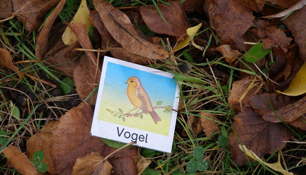 3043915580_5f23a3ed24_b