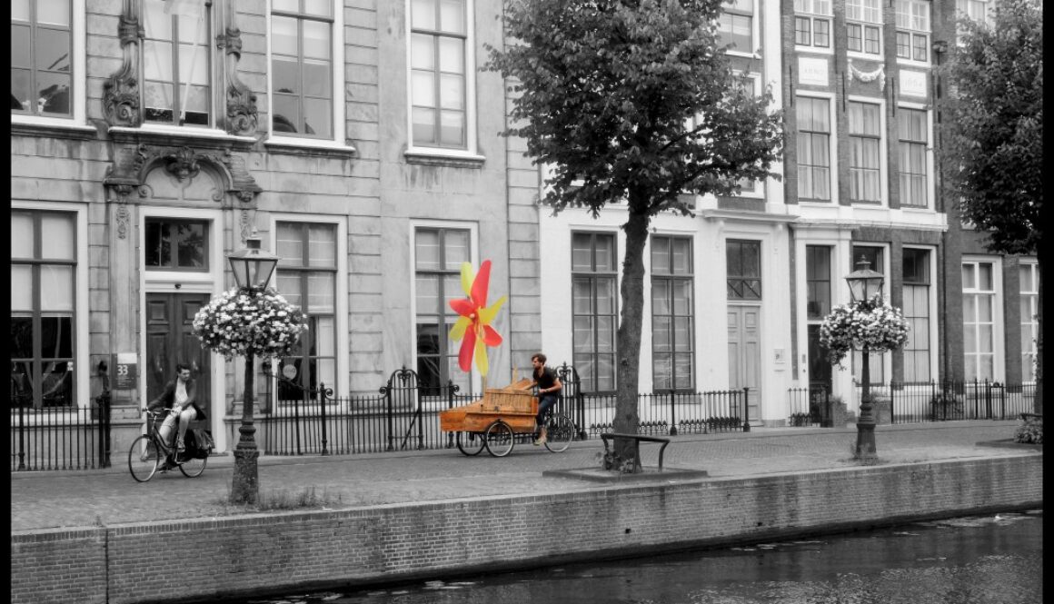 14905765047_17c688e0fc_k