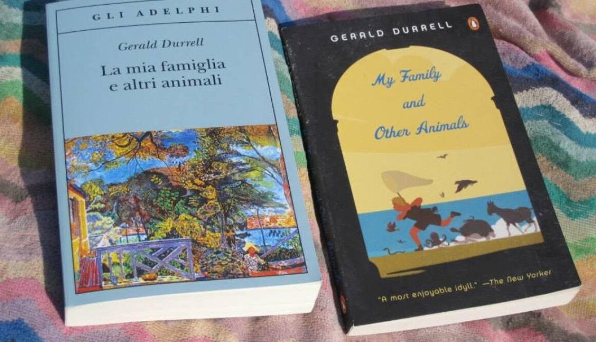 Di cosa si occupa e come si diventa traduttore professionista