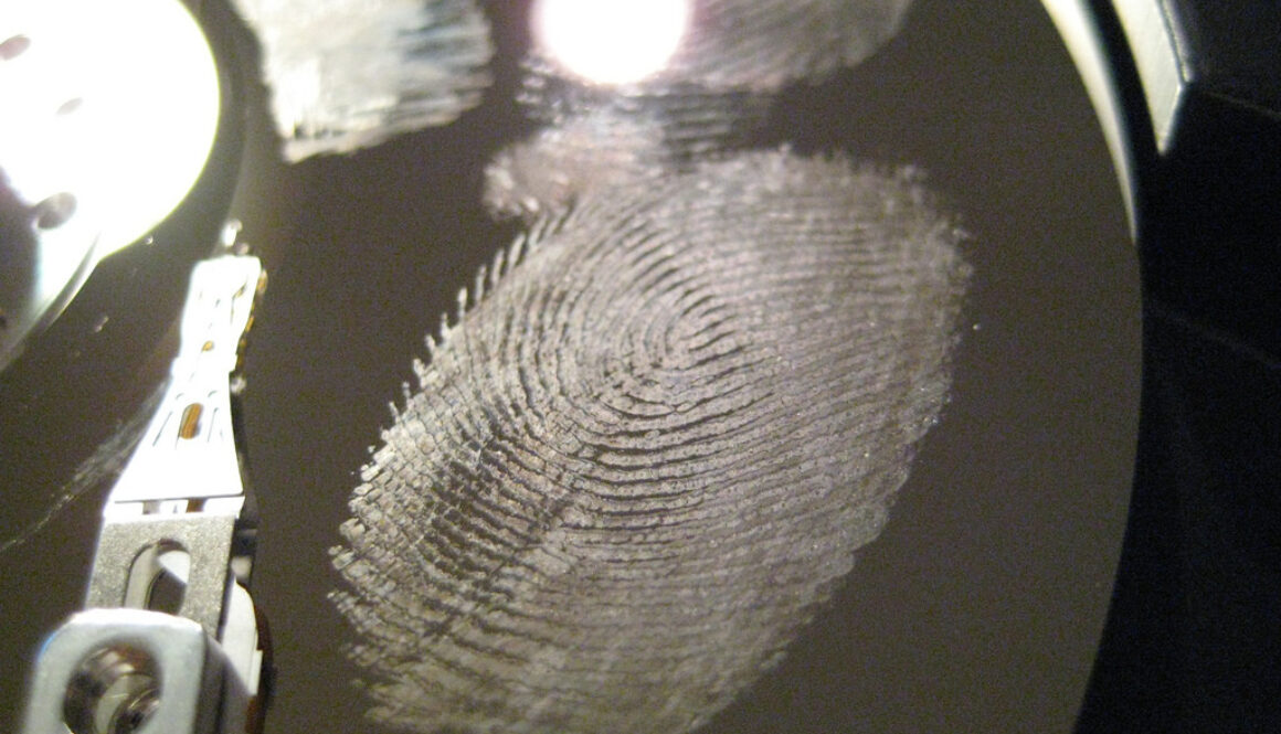 2816270679_51518a247f_b