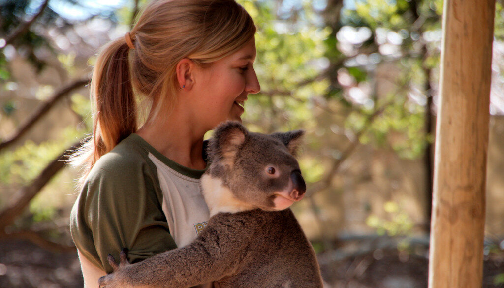 3482069770_0d1b9404c3_b