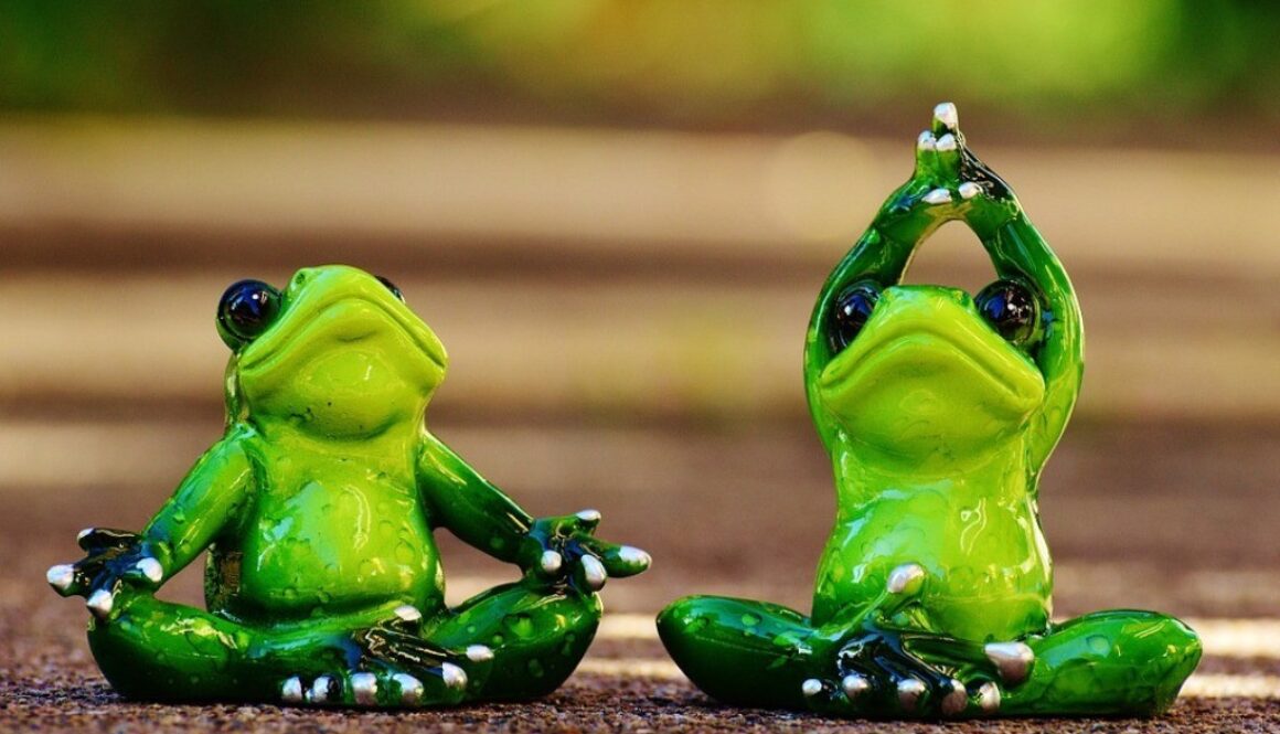 rane pupazzetti che fanno yoga