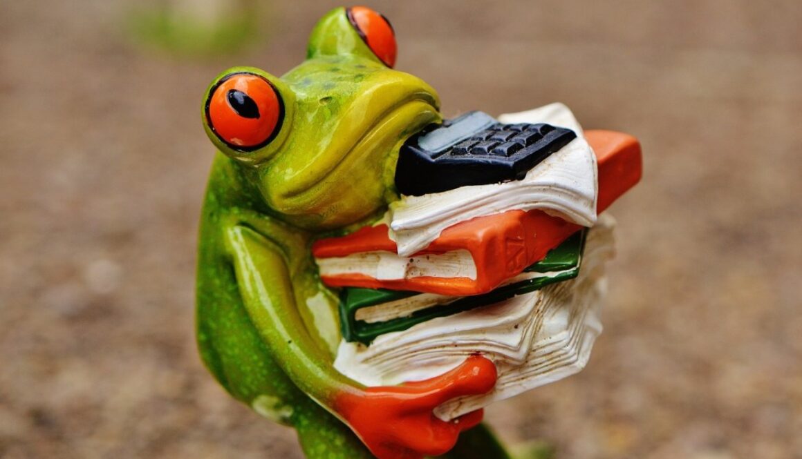 rana con documenti e calcolatrice