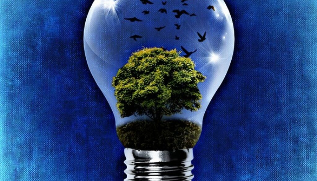 lampadina con alberi