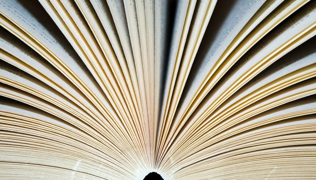 libro aperto effetto ventaglio