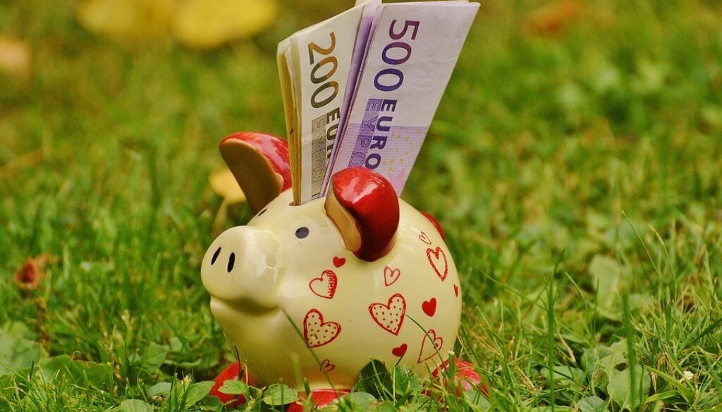 porcellino salvadanaio con euro