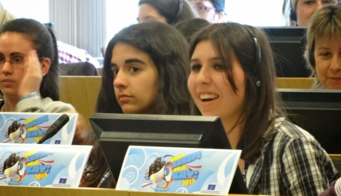 Your Europe Your Say