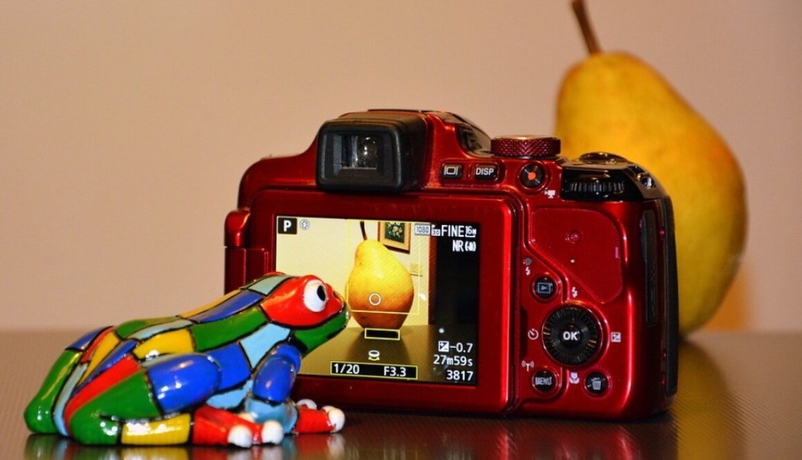 rana pupazzetto, macchina fotografica, pera