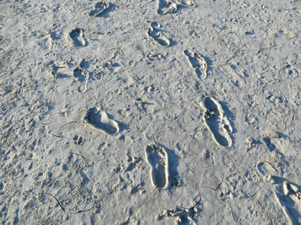 impronte sul fango. Con raccontaEstero puoi raccontare una tua esperienza