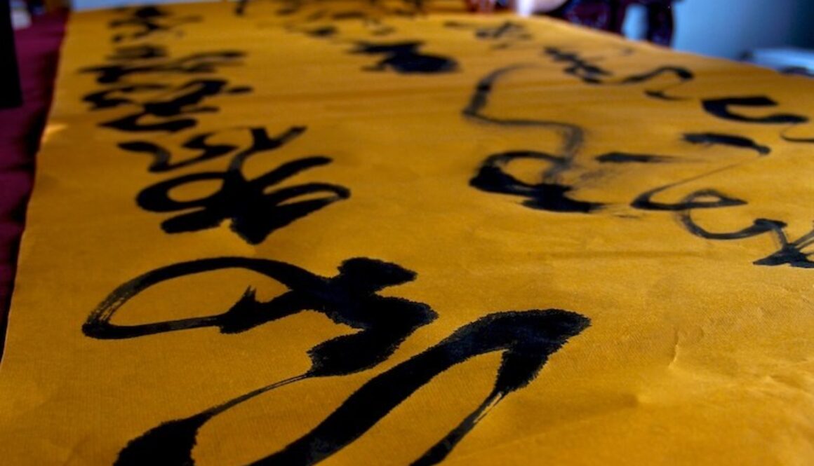 11 studenti per la Cina