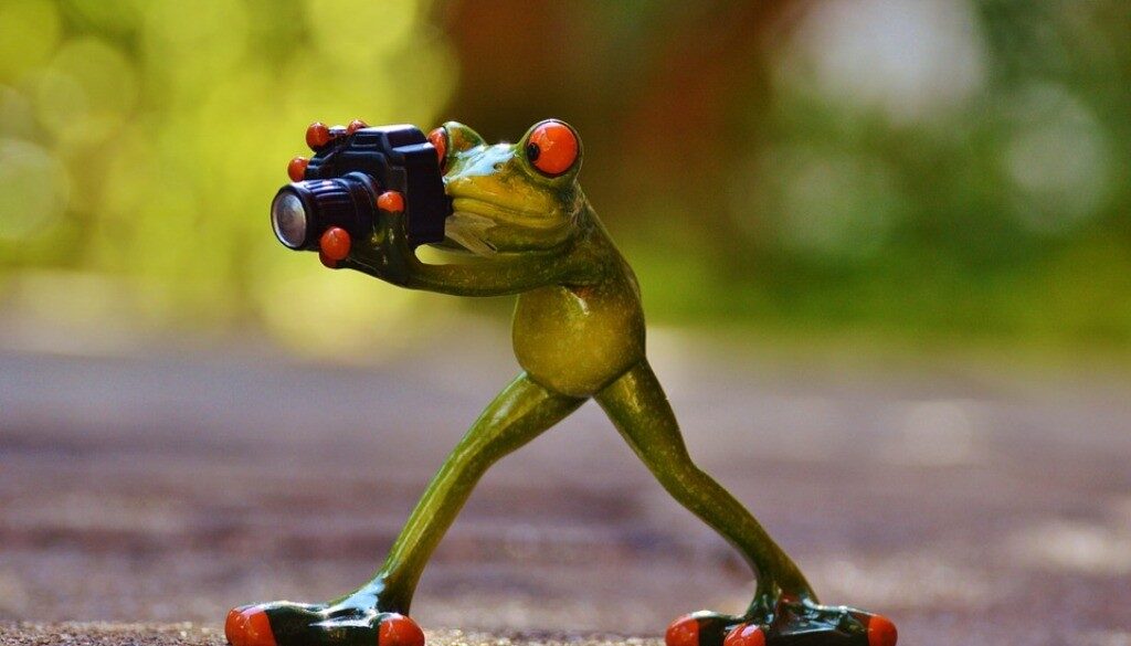 pupazzetto rana che fotografa