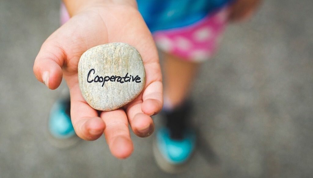 mano con sasso con scritta cooperative