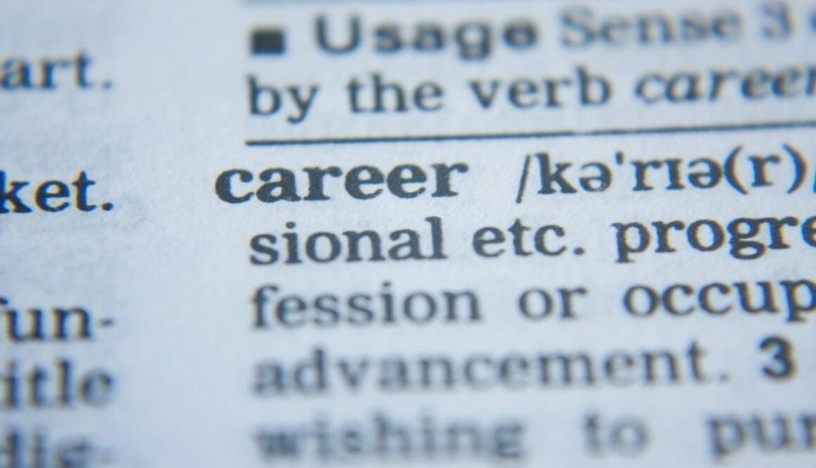 dettaglio parola career in vocabolario