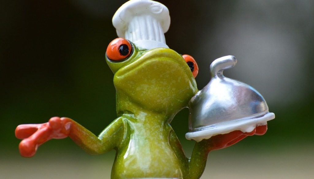 pupazzetto rana-cuoco