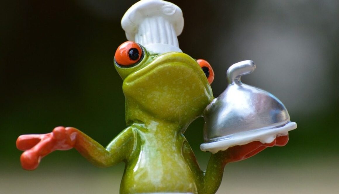 pupazzetto rana-cuoco