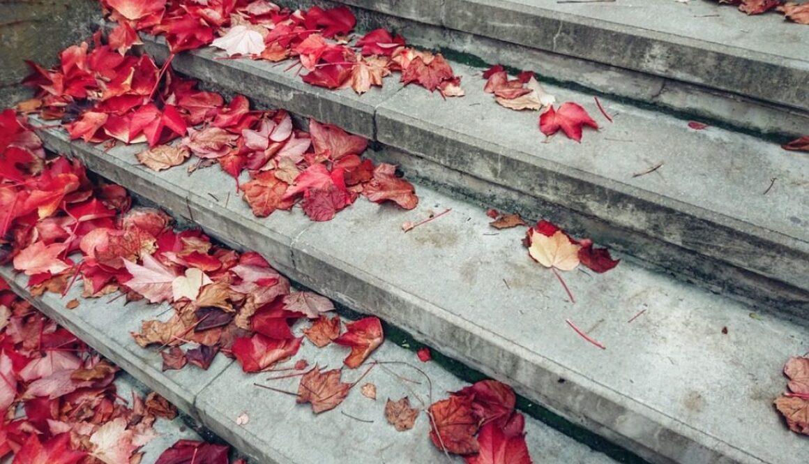 scale con foglie d'autunno