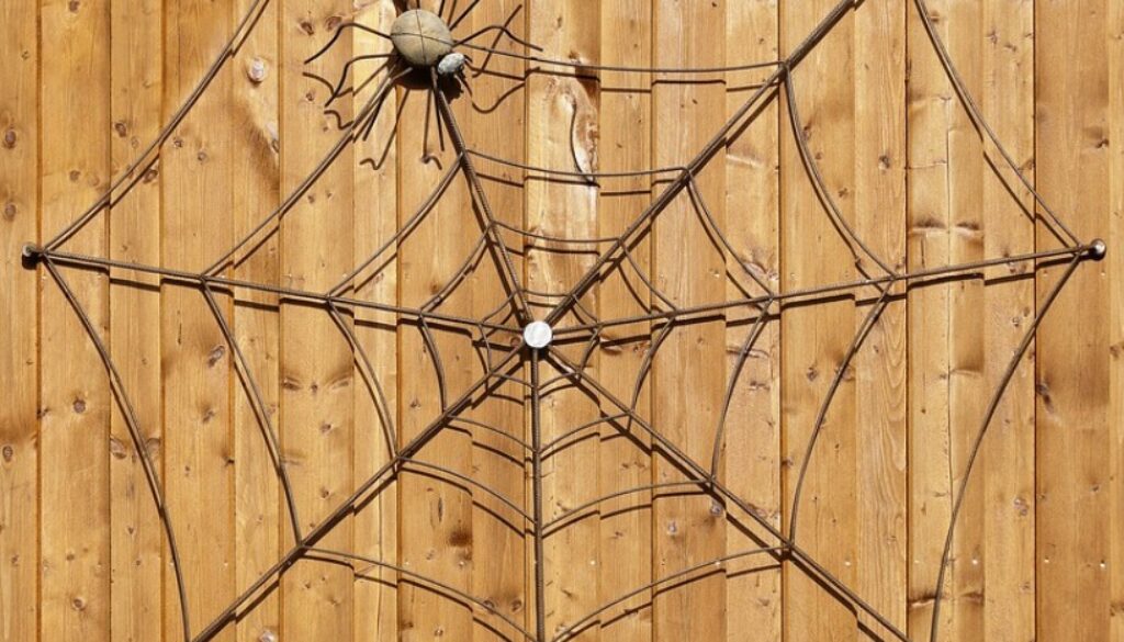 tela di ragno fatta con fili