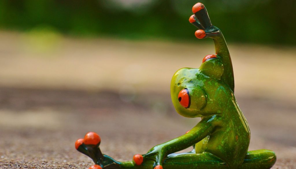Rana che fa ginnastica