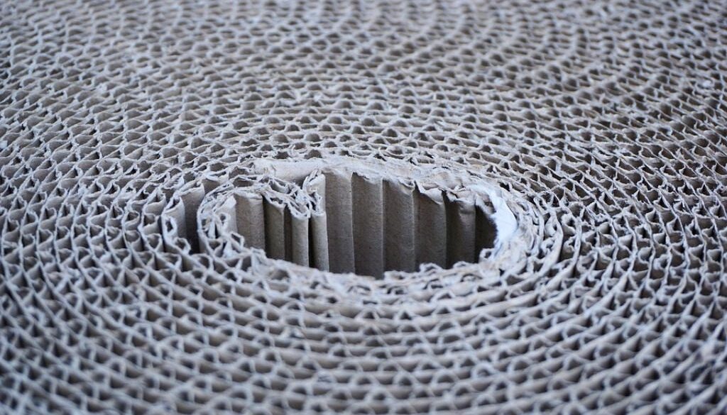 cerchi concentrici di cartoni