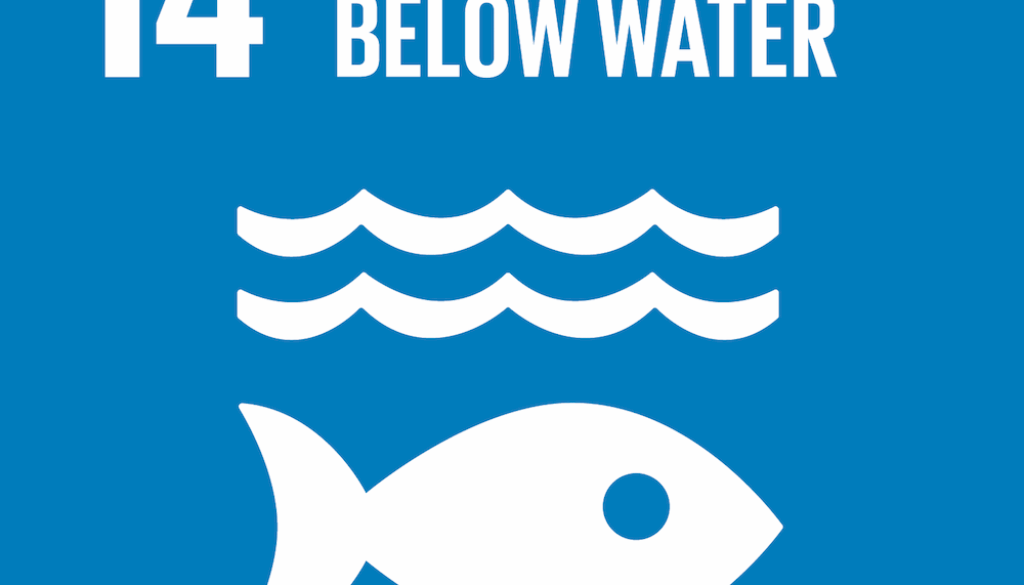 Un tema per proteggere le acque