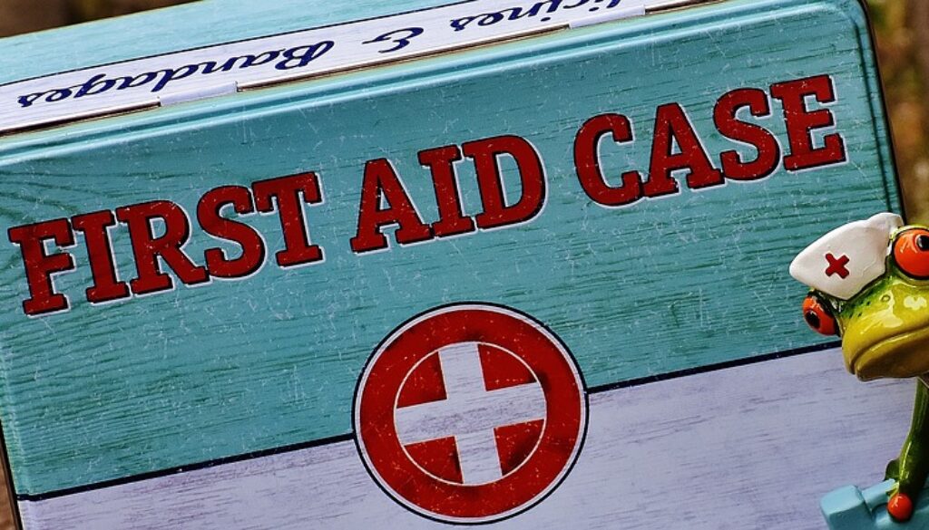 rana pupazzetta e cassetta pronto soccorso