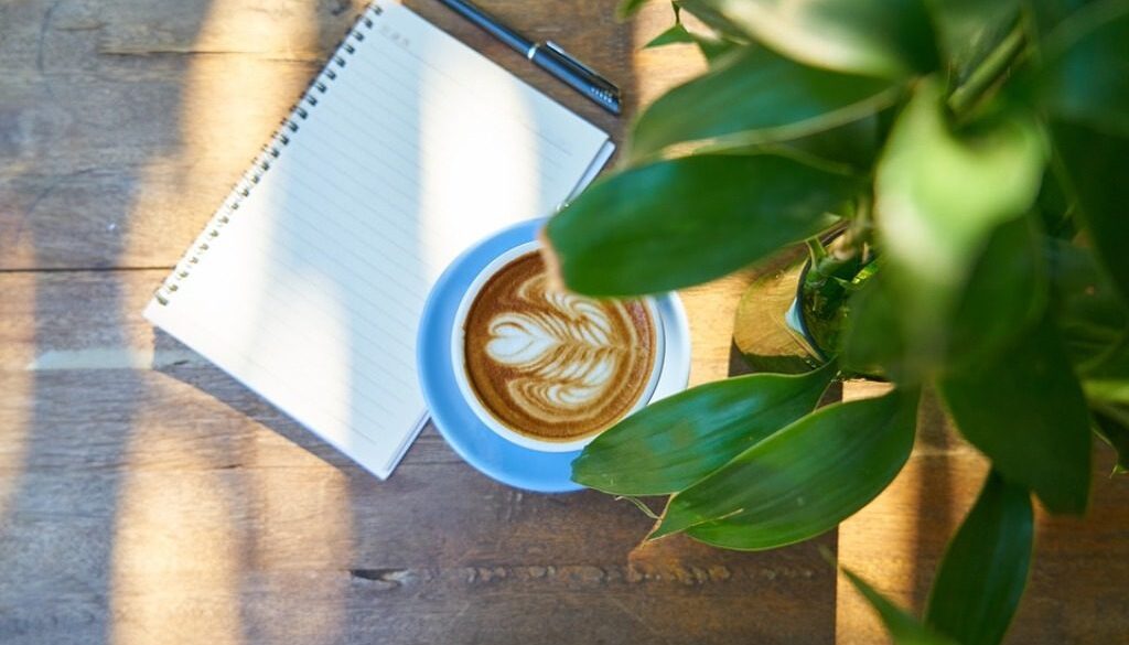 taccuino, caffè, pianta, raggio di sole