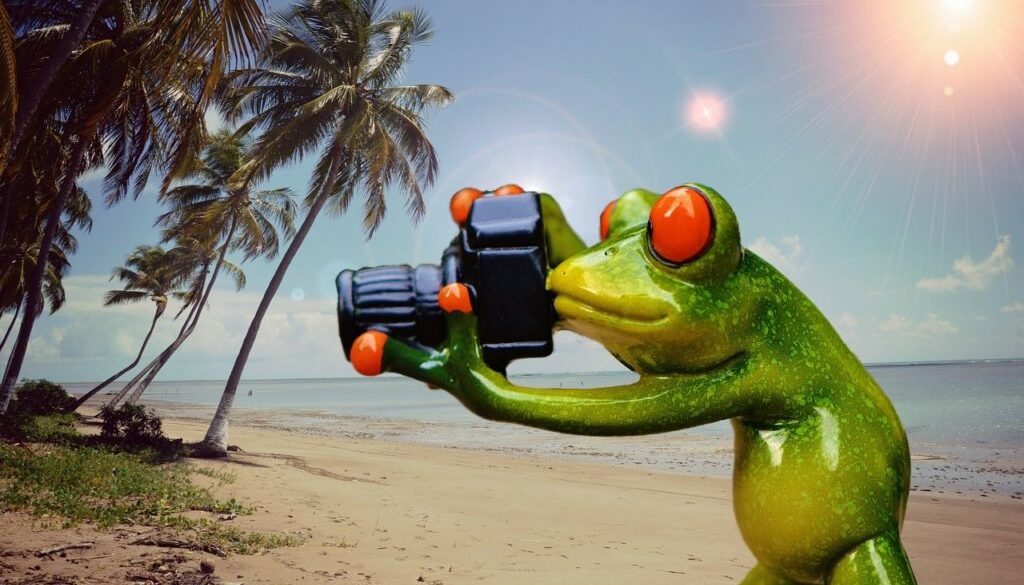 rana che fa foto su una spiaggia