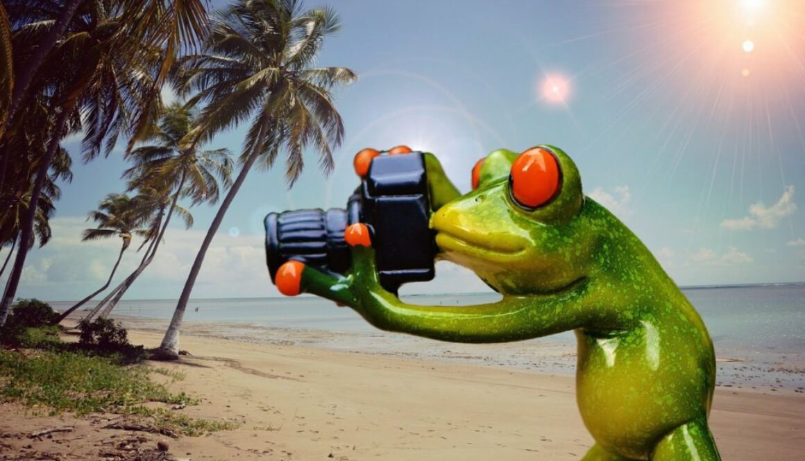 rana che fa foto su una spiaggia