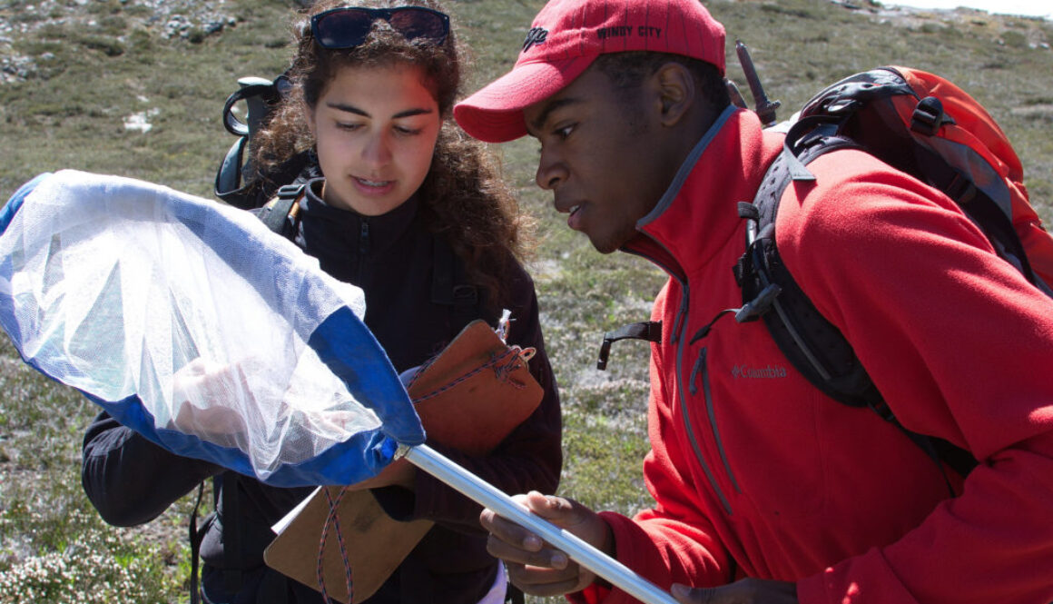 Cascades Butterfly Project