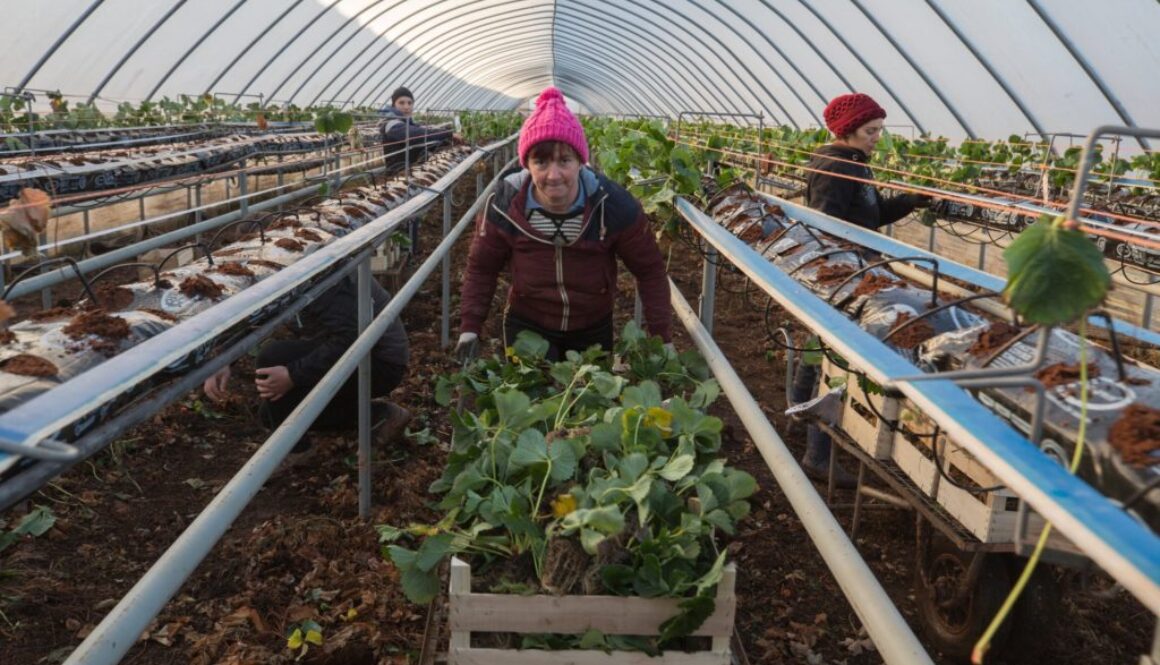 Lavorare a Reading, Regno Unito