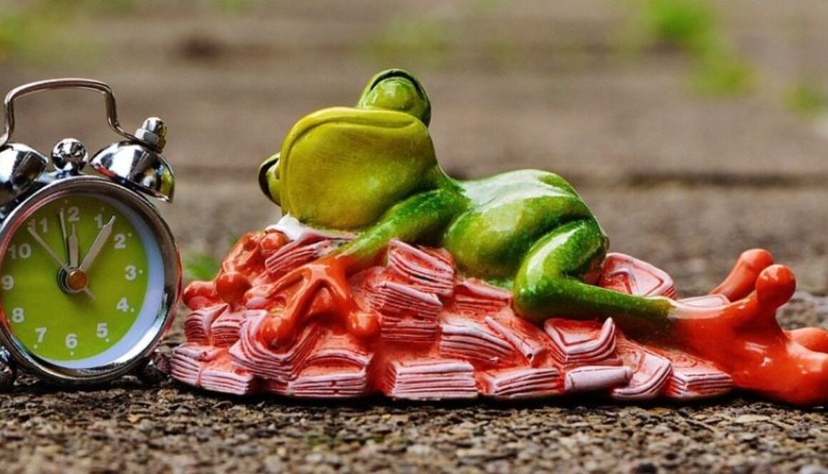 rana pupazzetto che dorme su cumulo di banconote