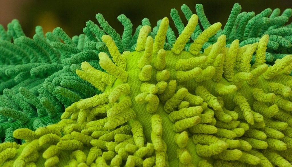 stracci verdi per pulizie