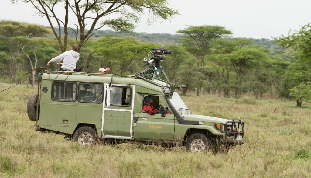 Serengeti National Park, Tanzania