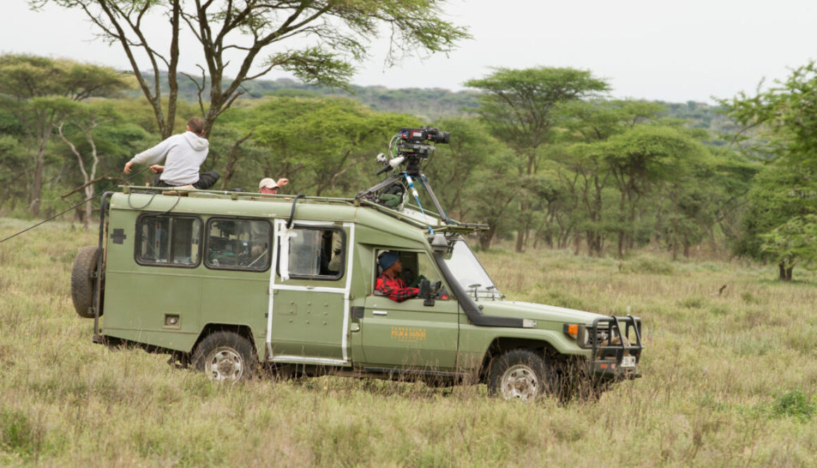 Serengeti National Park, Tanzania
