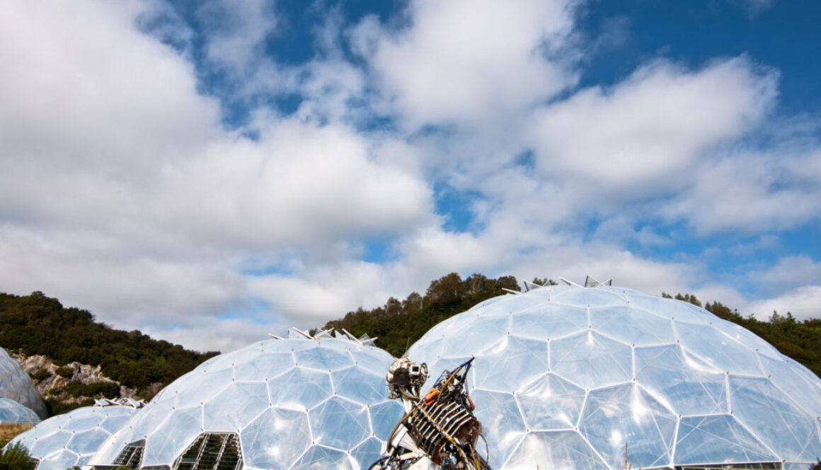 Biomes @ Eden Project, Cornwall