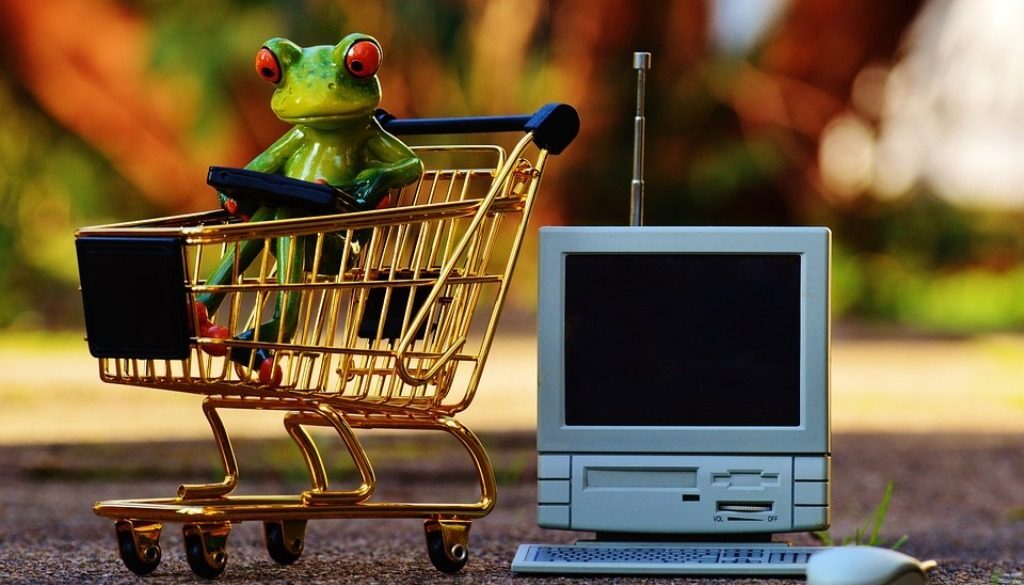 rana pupazzetto dentro a un carrello giocattolo con computer giocattolo